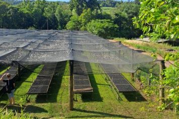 Foto - TURISMO RURAL