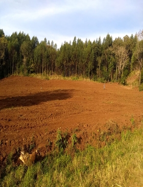 Agricultores são atendidos pelo programa de horas-máquina