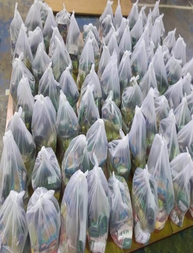 Entrega de Kit de Alimentos da Merenda Escolar